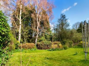 garden- click for photo gallery